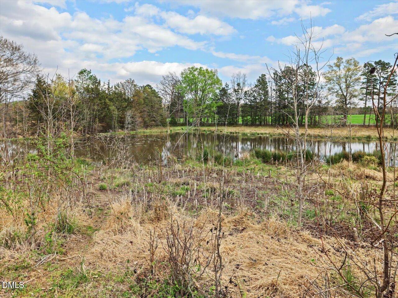 7793 Ridgeville Road Leasburg, NC 27291 - Photo 69 of 91