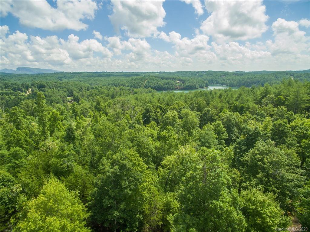 99999 Ridge Point Road, Unit 4 Nebo, NC 28761 - Photo 12 of 37 Gallery Image 12