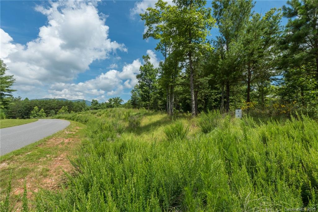 99999 Ridge Point Road, Unit 4 Nebo, NC 28761 - Photo 15 of 37 Gallery Image 15