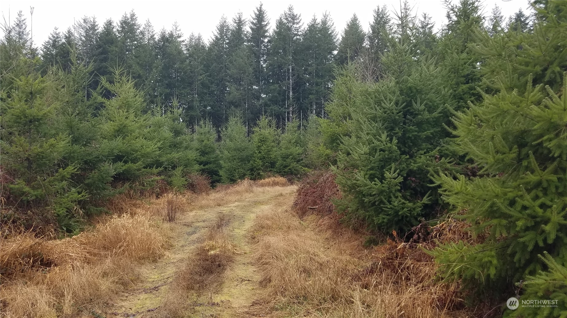 1129 North River Road Cosmopolis, WA 98537 - Photo 15 of 17 Gallery Image 15