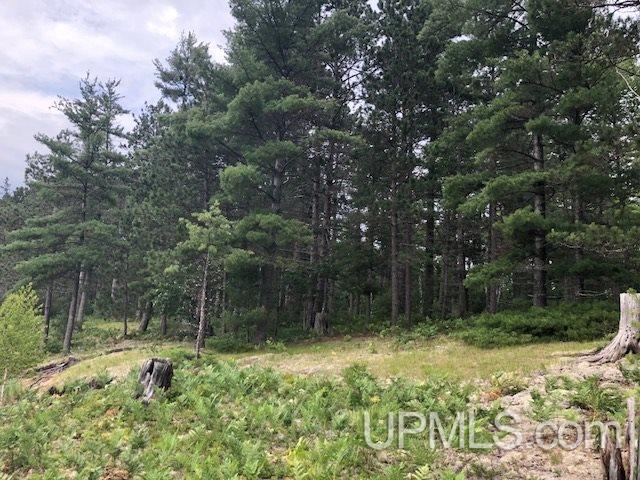 Tbd Adams Trail Seney, MI 49883 - Photo 12 of 16