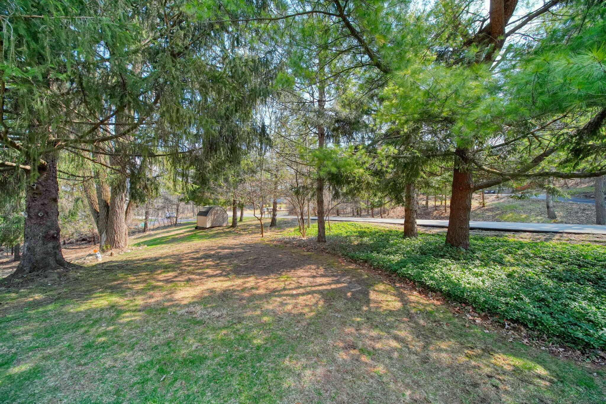 3381 Pine Ridge Drive Jackson, MI 49201 - Photo 43 of 66 43