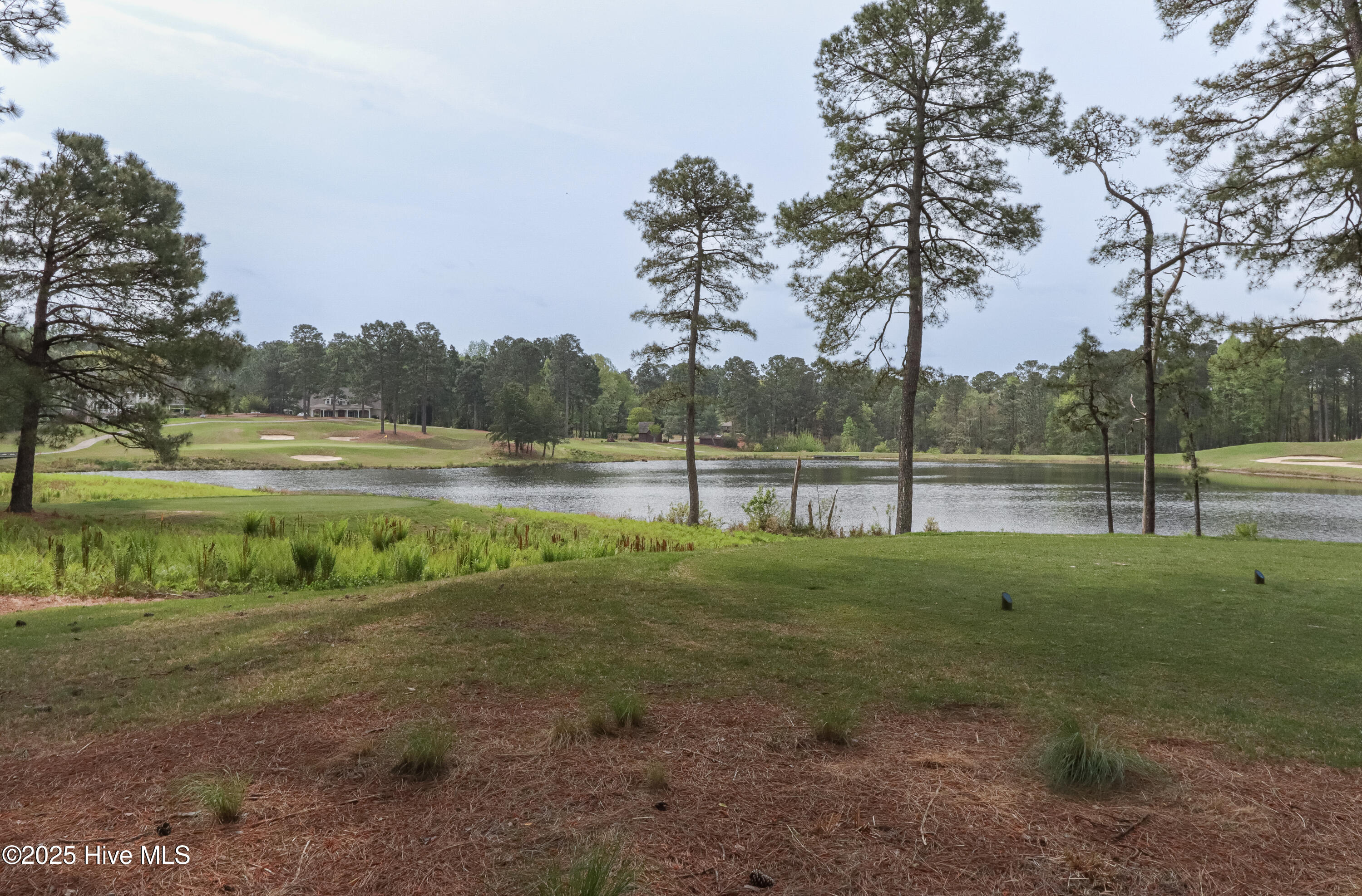 32 Oxton Circle Pinehurst, NC 28374 - Photo 12 of 62 IMG_8601