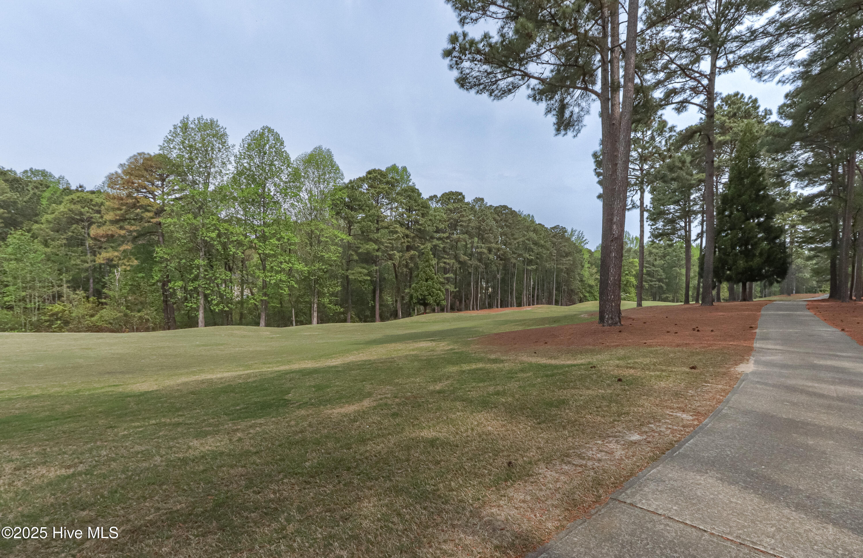 32 Oxton Circle Pinehurst, NC 28374 - Photo 19 of 62 IMG_8451