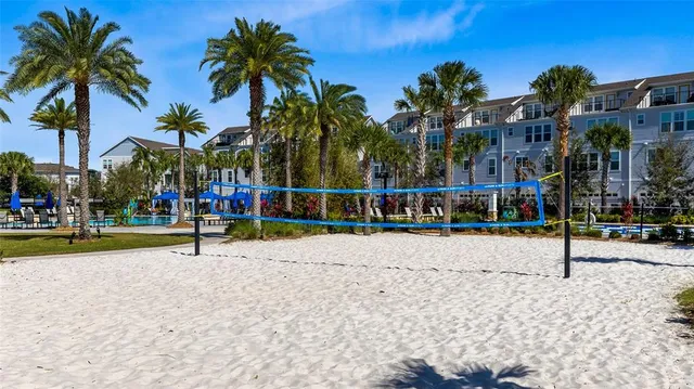 a view of a park with palm trees