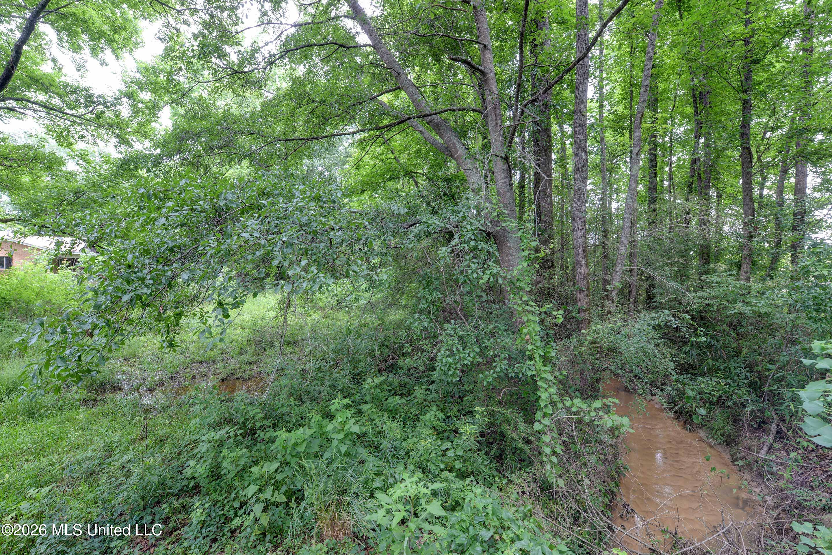 8006 Old 8th Street Road North Meridian, MS 39307 - Photo 17 of 30 8006-Old-8th-St-Rd-17