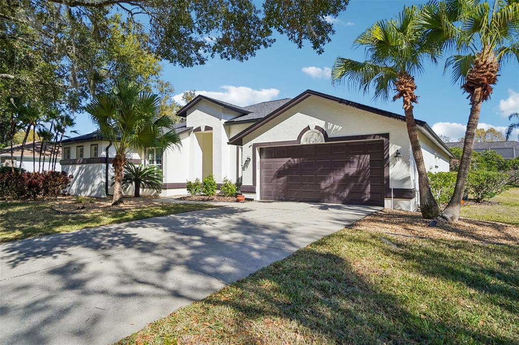 4909 Willow Ridge Terrace Valrico, FL 33596 - Photo 3 of 55 Gallery Image 3