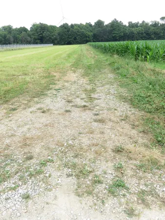 $165,000 | 425 South 1200 Street, Parker City, IN 47368
