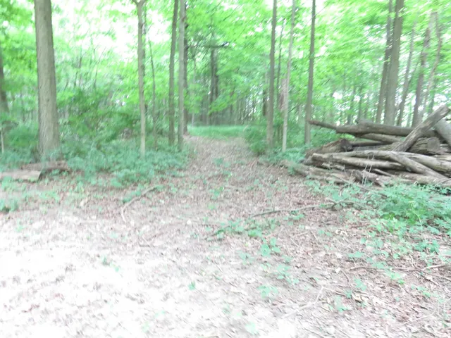 $165,000 | 425 South 1200 Street, Parker City, IN 47368