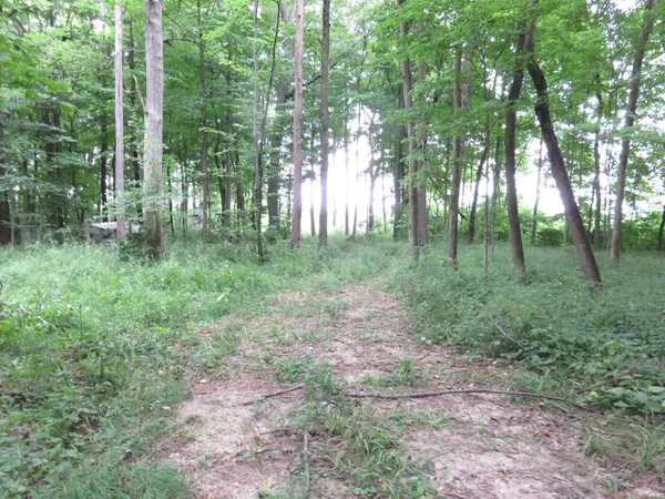 $165,000 | 425 South 1200 Street, Parker City, IN 47368