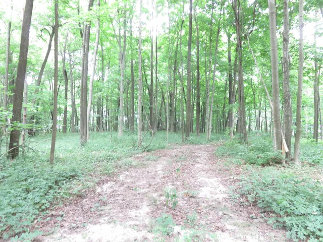 $165,000 | 425 South 1200 Street, Parker City, IN 47368