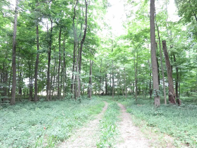 $165,000 | 425 South 1200 Street, Parker City, IN 47368