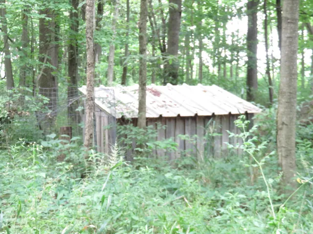 $165,000 | 425 South 1200 Street, Parker City, IN 47368