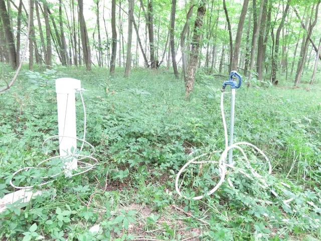 $165,000 | 425 South 1200 Street, Parker City, IN 47368