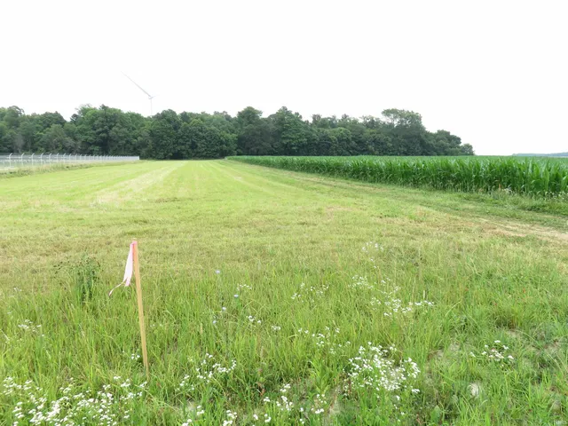 $165,000 | 425 South 1200 Street, Parker City, IN 47368