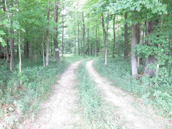 $165,000 | 425 South 1200 Street, Parker City, IN 47368