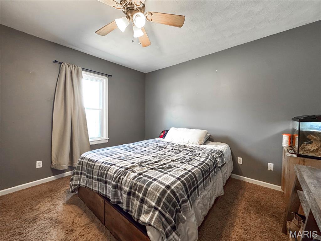 5252 Kaskaskia Road Waterloo, IL 62298 - Photo 23 of 32