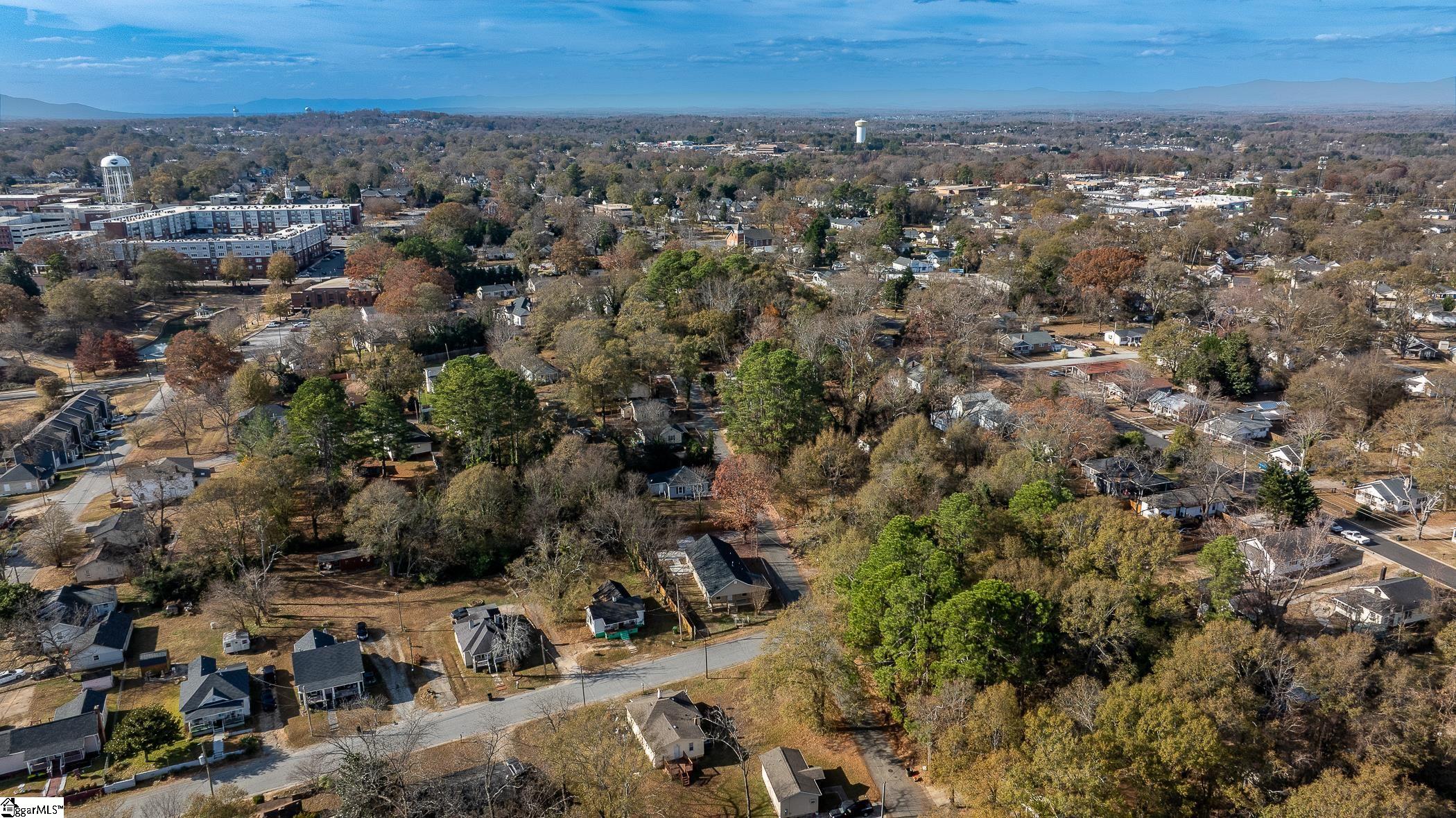 311 Austin Street Greer, SC 29651 - Photo 28 of 28