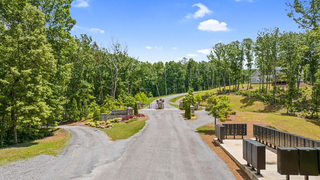 Lot 105 Twisted Oak Road Talking Rock, GA 30175 - Photo 11 of 15