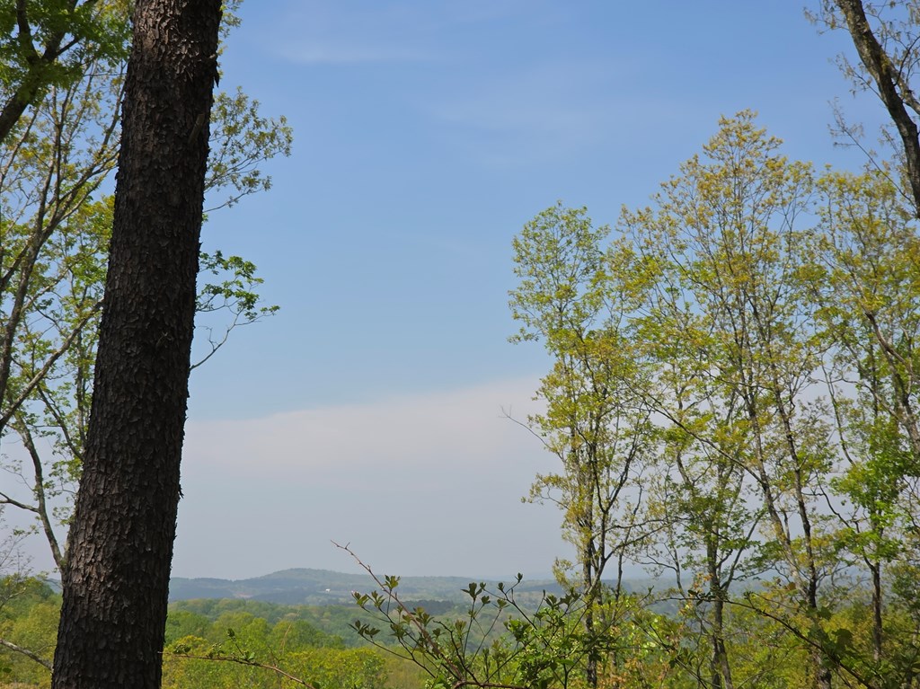 Lot 105 Twisted Oak Road Talking Rock, GA 30175 - Photo 4 of 15