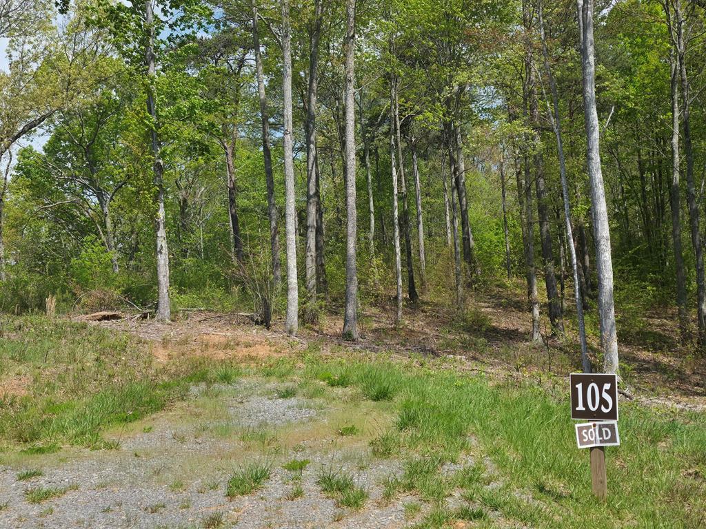 Lot 105 Twisted Oak Road Talking Rock, GA 30175 - Photo 5 of 15