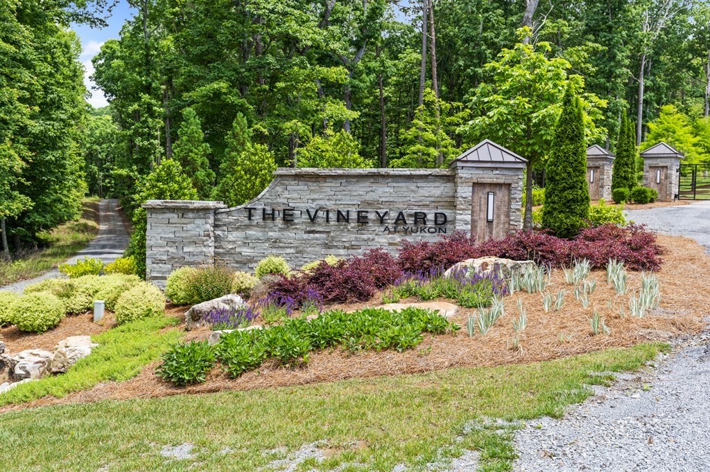 Lot 105 Twisted Oak Road Talking Rock, GA 30175 - Photo 10 of 15