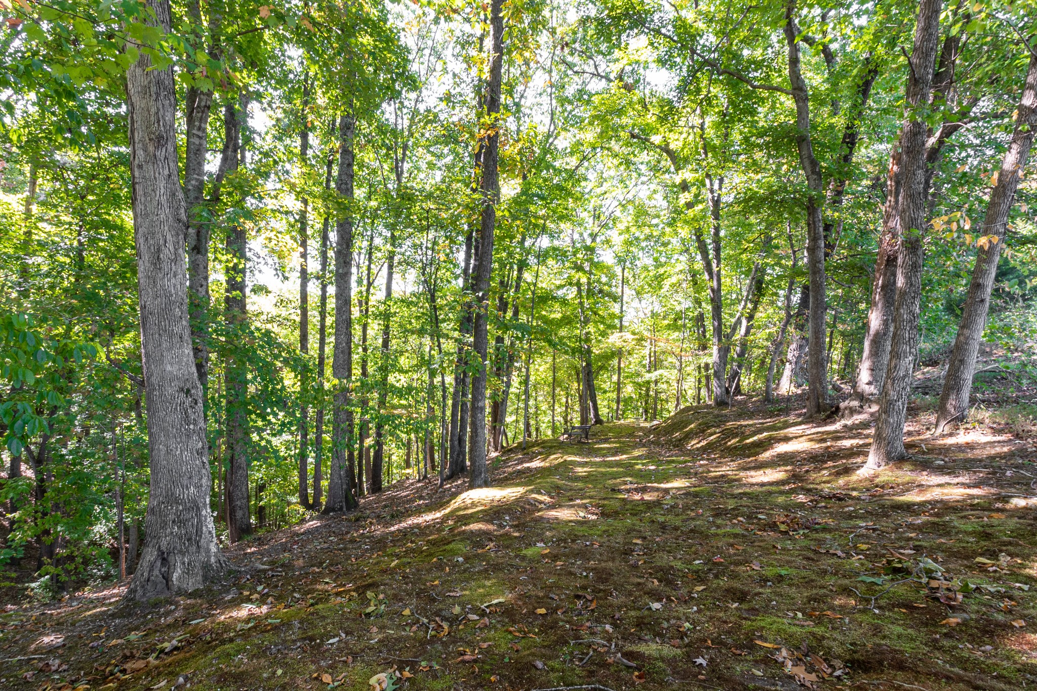 6089 Norman Thomas Road Silver Point, TN 38582 - Photo 33 of 37 Gallery Image 33