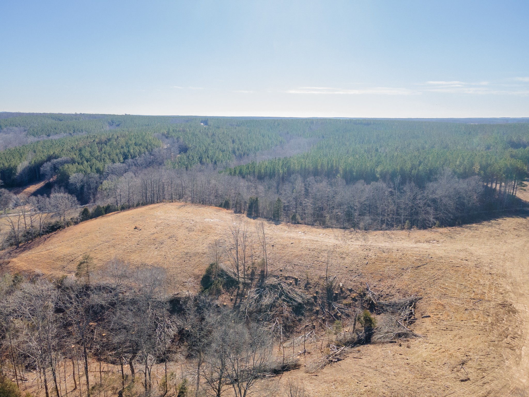 5120 Brison Road Collinwood, TN 38450 - Photo 15 of 25 a view of a dry yard