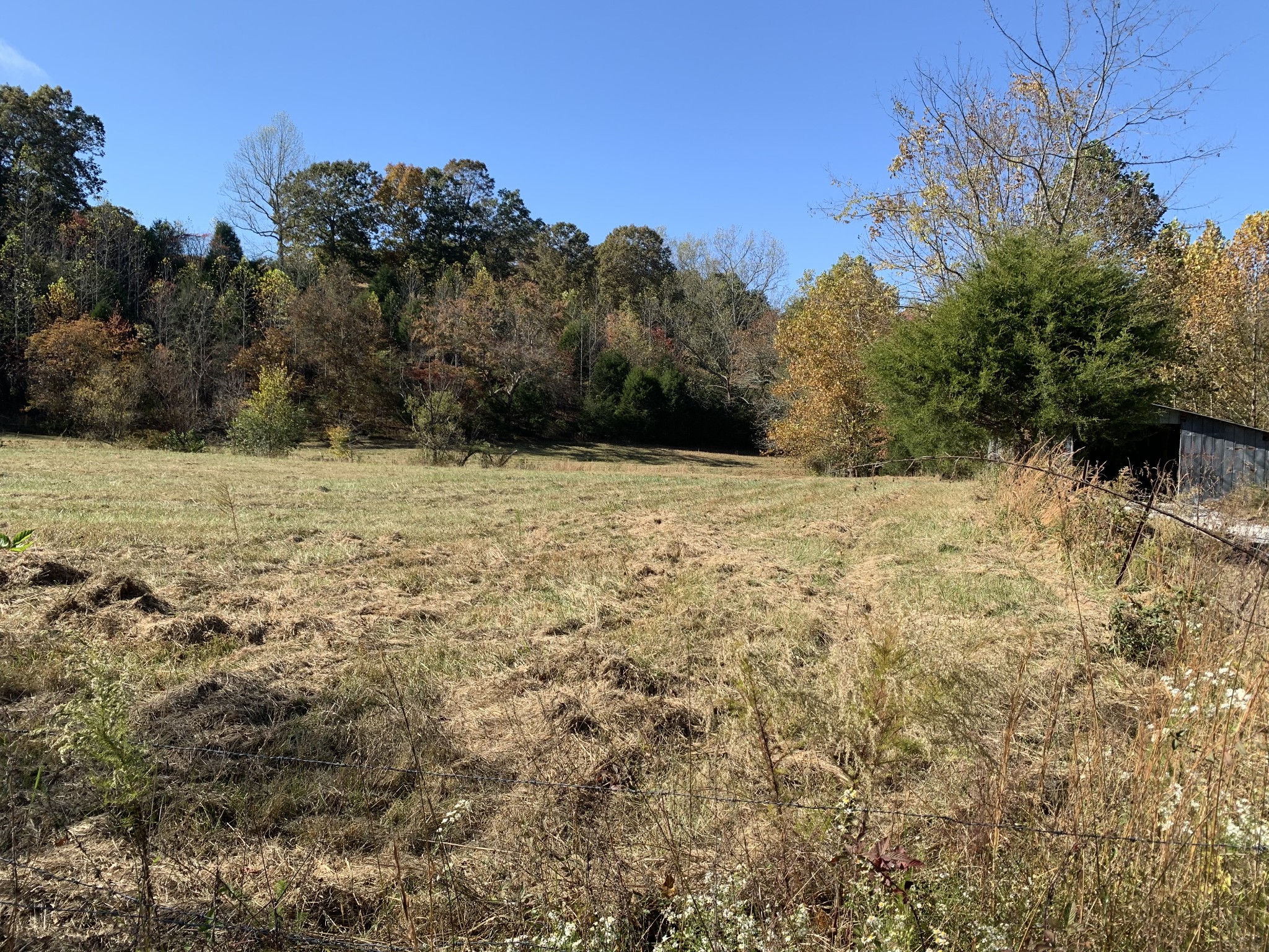 5120 Brison Road Collinwood, TN 38450 - Photo 17 of 25 a view of a yard with a tree