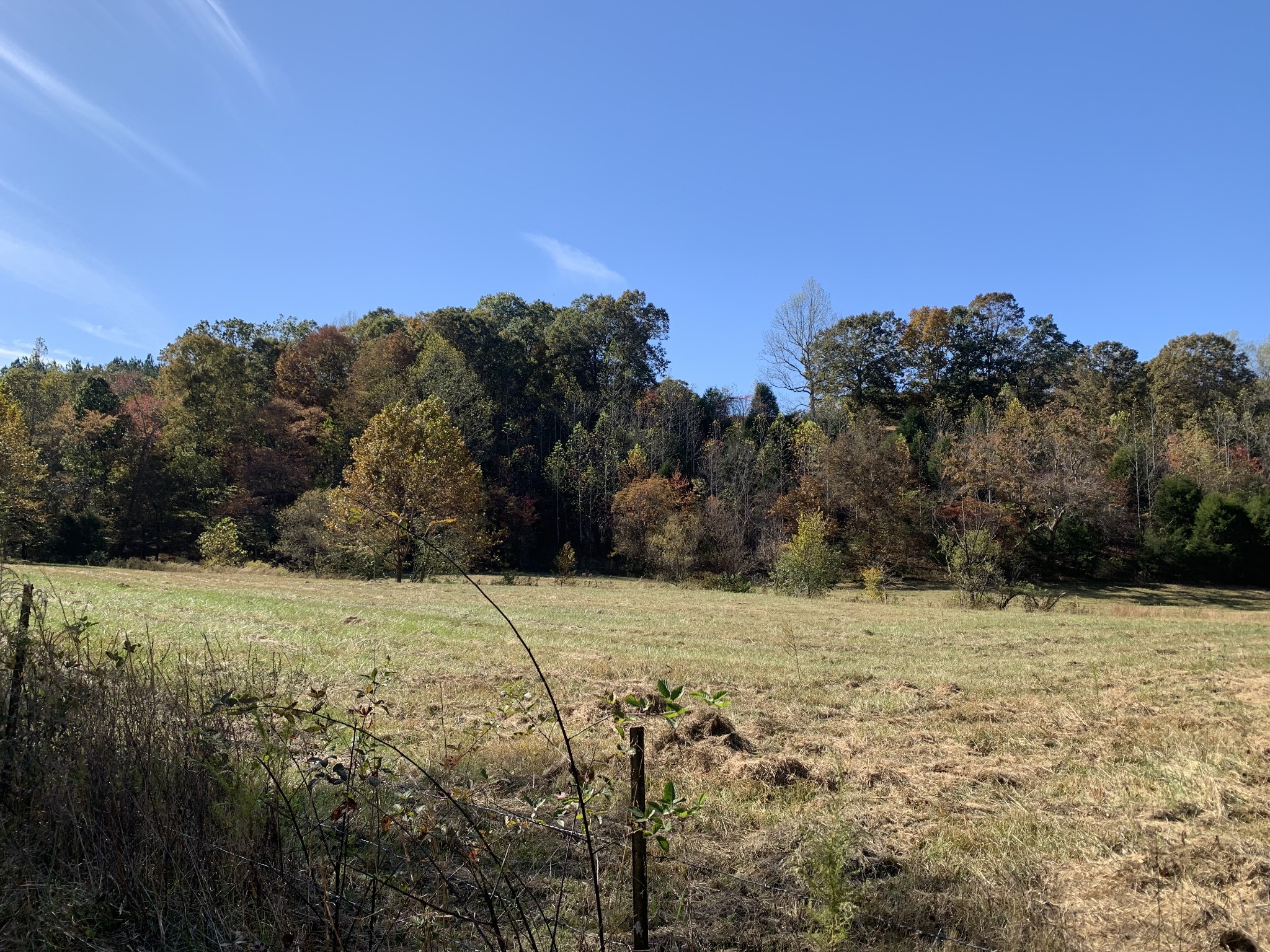 5120 Brison Road Collinwood, TN 38450 - Photo 3 of 25 a view of big yard