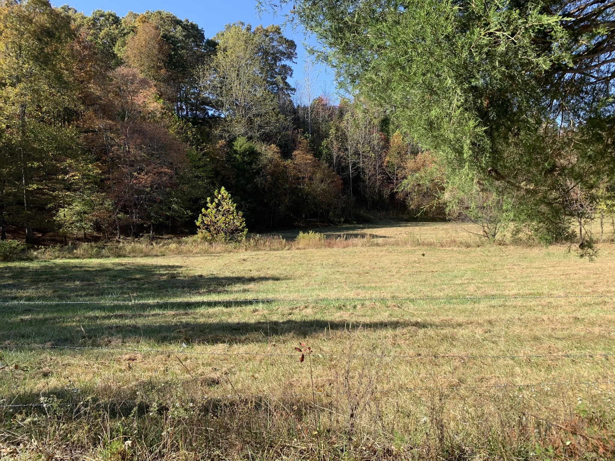 5120 Brison Road Collinwood, TN 38450 - Photo 4 of 25 a view of ocean with large trees