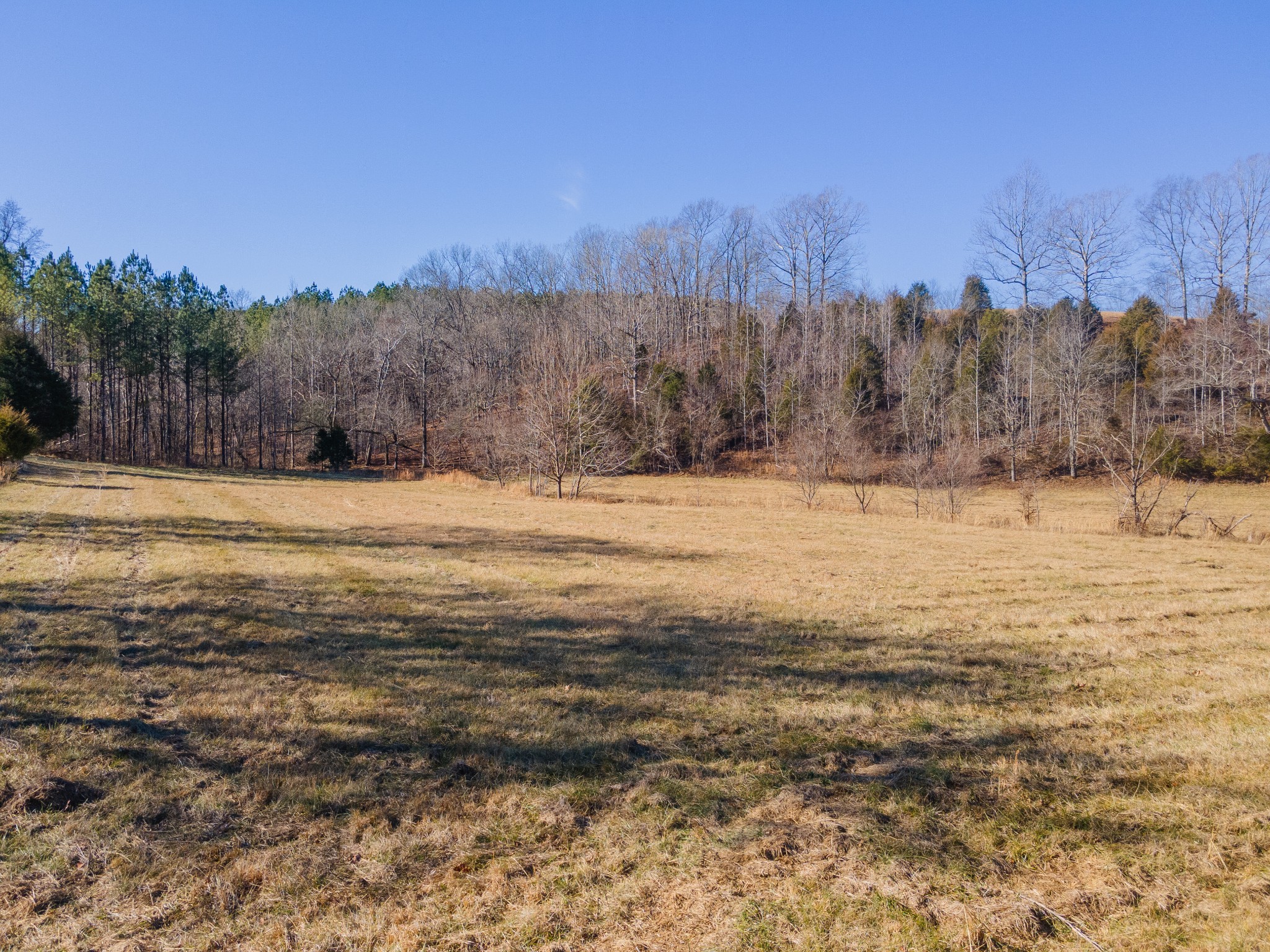 5120 Brison Road Collinwood, TN 38450 - Photo 5 of 25 a view of lake view and mountain