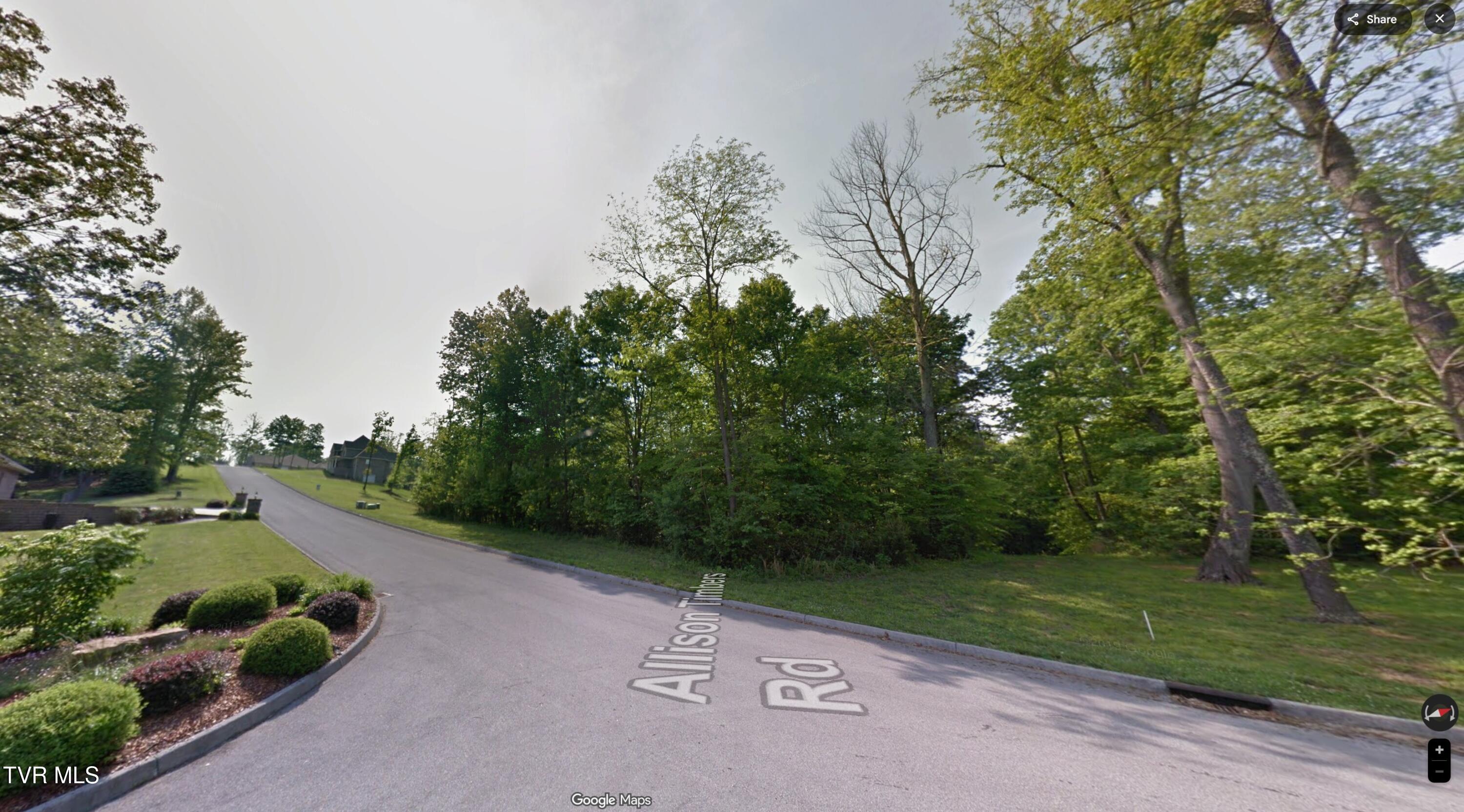 Tbd Allison Timbers Road, Unit 13 Piney Flats, TN 37686 - Photo 3 of 3 Google maps