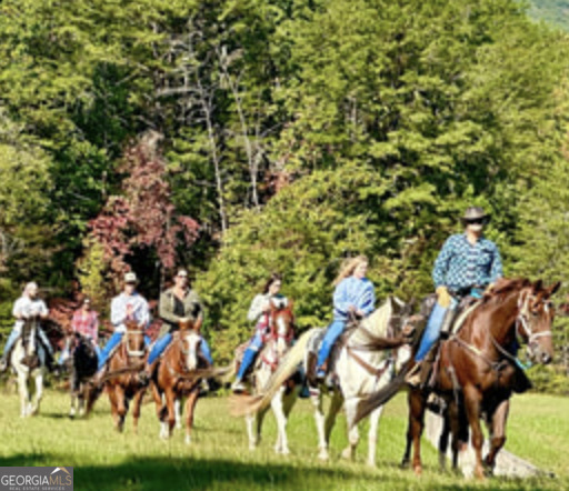 35 Canyon Pass Cleveland, GA 30528 - Photo 18 of 25