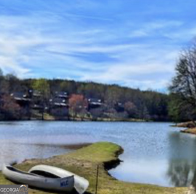 35 Canyon Pass Cleveland, GA 30528 - Photo 22 of 25