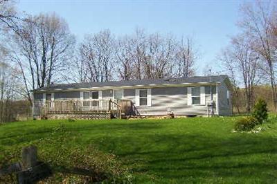 3385 North Greenville Road Lakeview, MI 48850 - Photo 1 of 18 Primary Photo