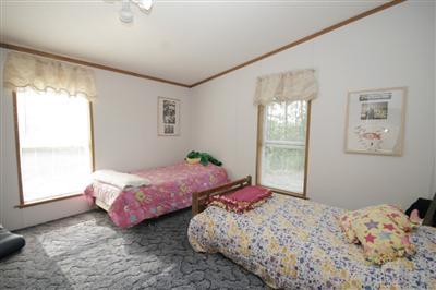 3385 North Greenville Road Lakeview, MI 48850 - Photo 12 of 18 Additional Photo