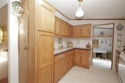 3385 North Greenville Road Lakeview, MI 48850 - Photo 6 of 18 Additional Photo