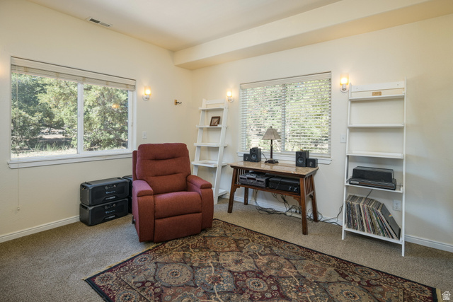684 Blue Mountain Ridge Monticello, UT 84535 - Photo 45 of 71 Office featuring carpet floors and healthy amount of natural light
