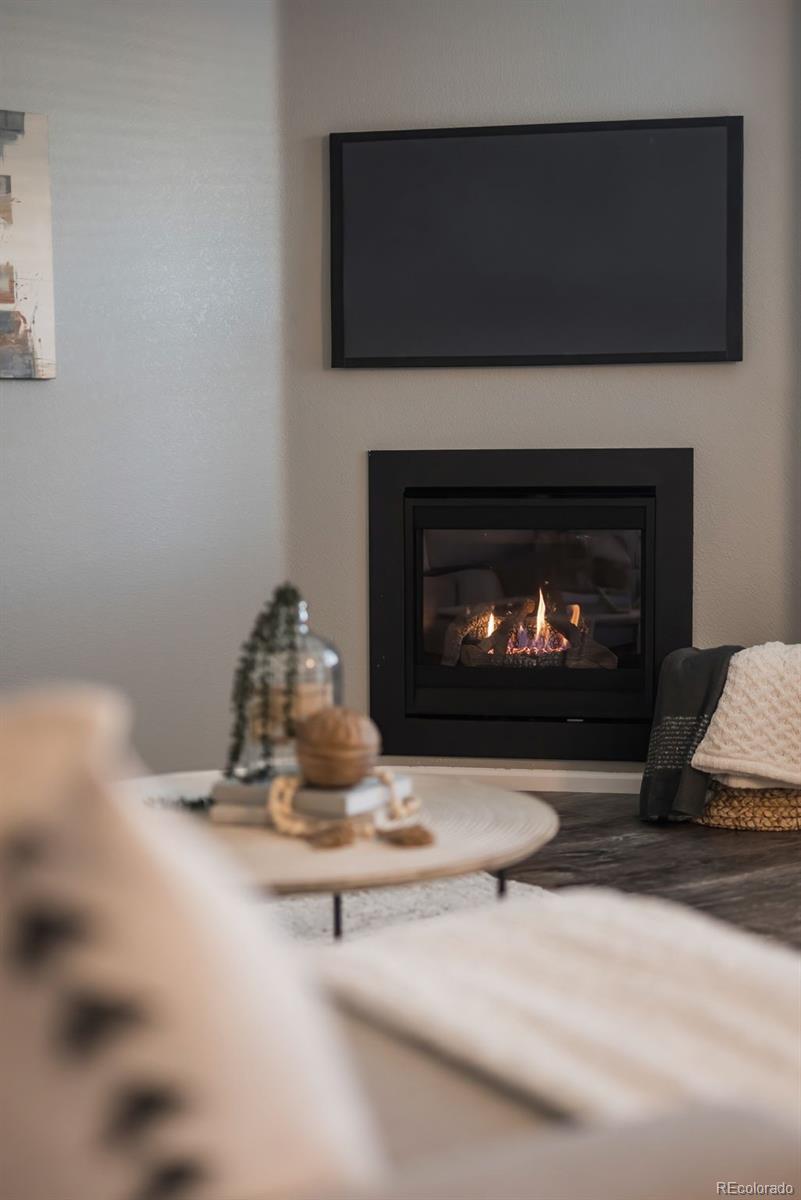 22603 East Radcliff Drive Aurora, CO 80015 - Photo 12 of 42 a living room with a fireplace