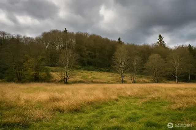 a view of a yard with a house