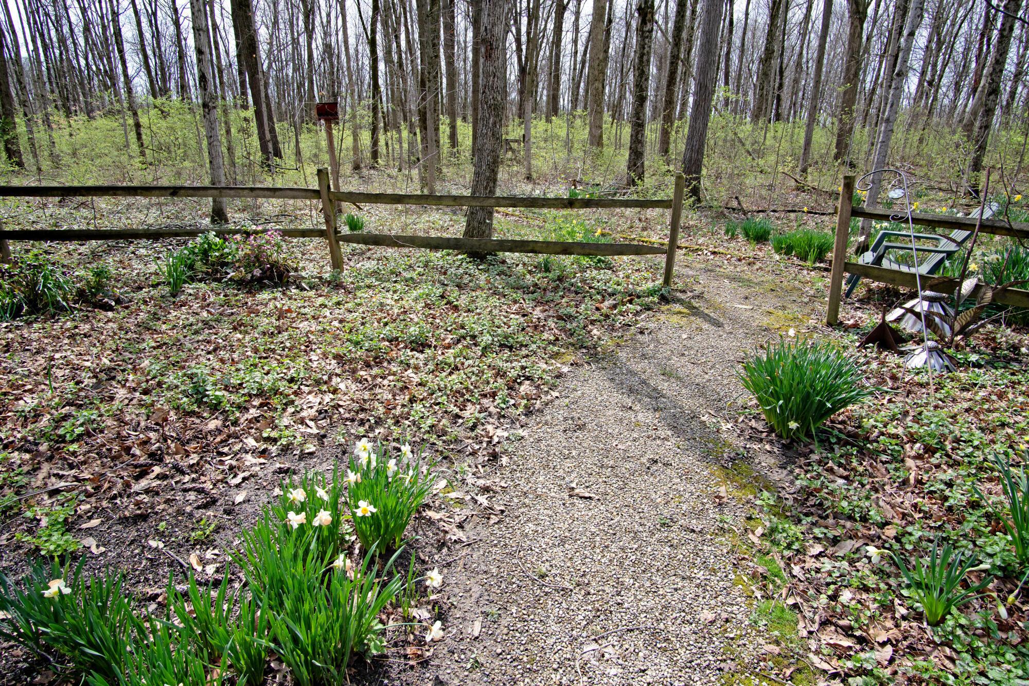 6011 Houseman Road Ostrander, OH 43061 - Photo 19 of 84 Path to the back woods