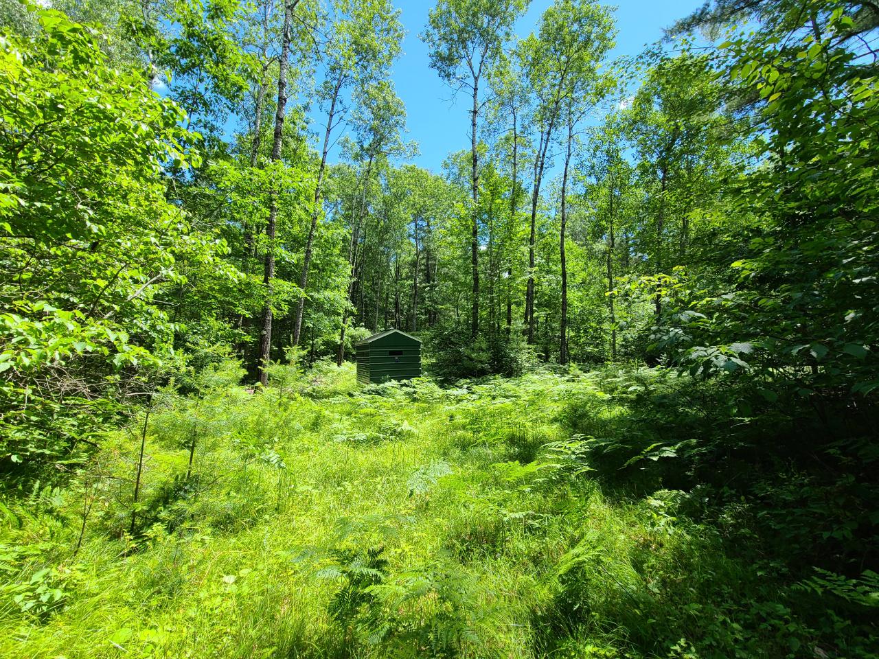 Lot 6 Sunrise Road Woodruff, WI 54568 - Photo 6 of 8 Gallery Image 6