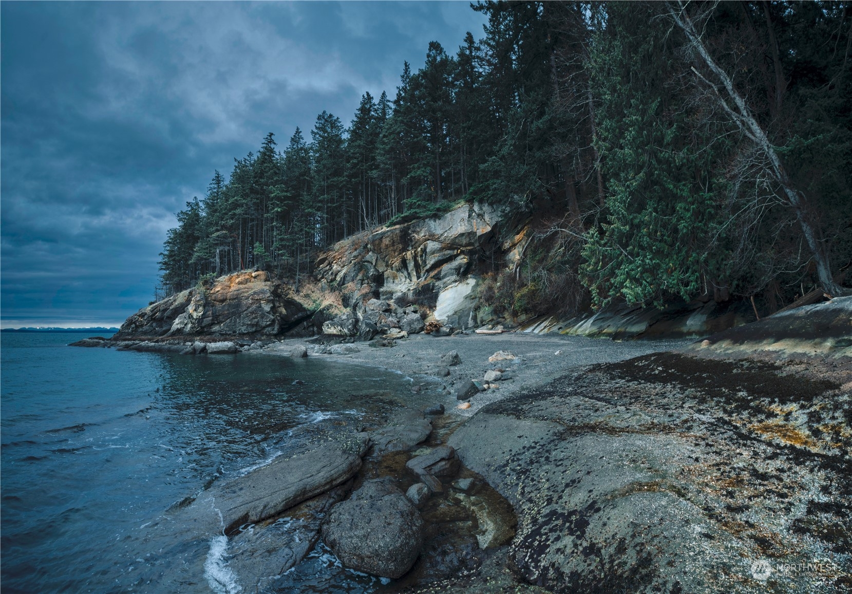 a view of a wooden floor with a tree