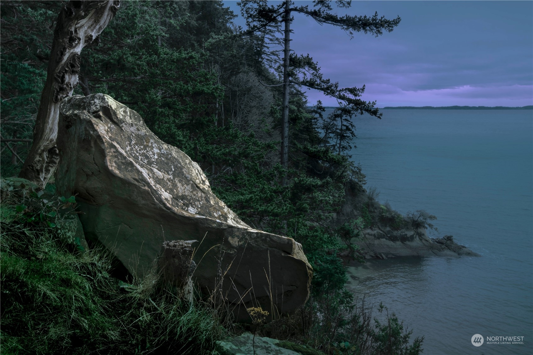 283 Arbel Way Bellingham, WA 98229 - Photo 11 of 39 a view of outdoor space and yard