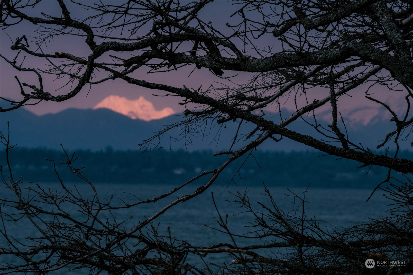 283 Arbel Way Bellingham, WA 98229 - Photo 13 of 39 a backyard of a house