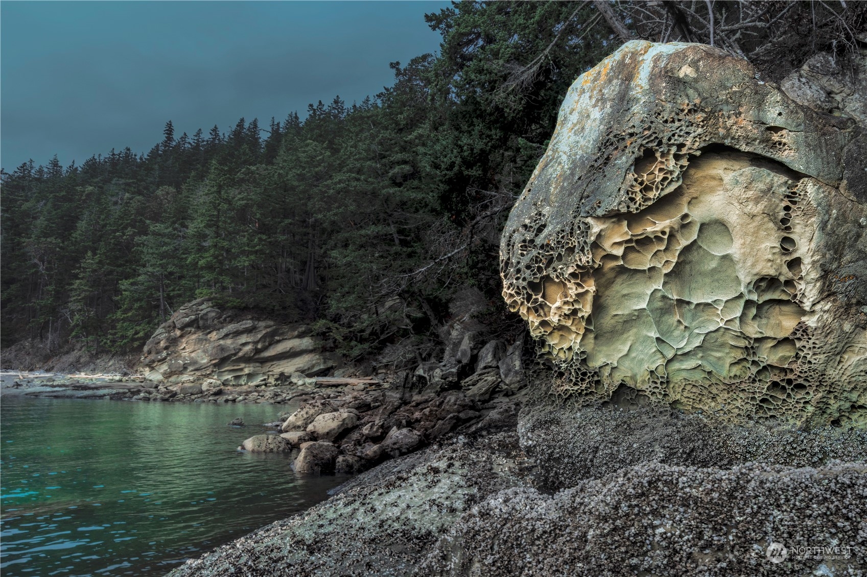 283 Arbel Way Bellingham, WA 98229 - Photo 14 of 39 a view of a lake with a yard