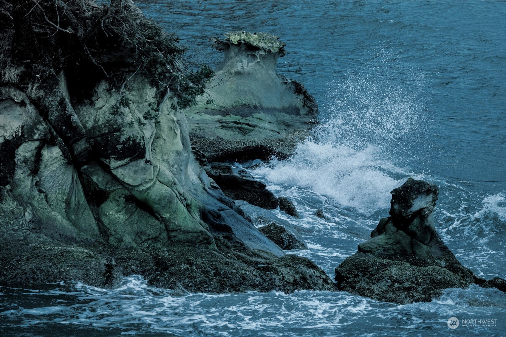 283 Arbel Way Bellingham, WA 98229 - Photo 24 of 39 a view of a yard