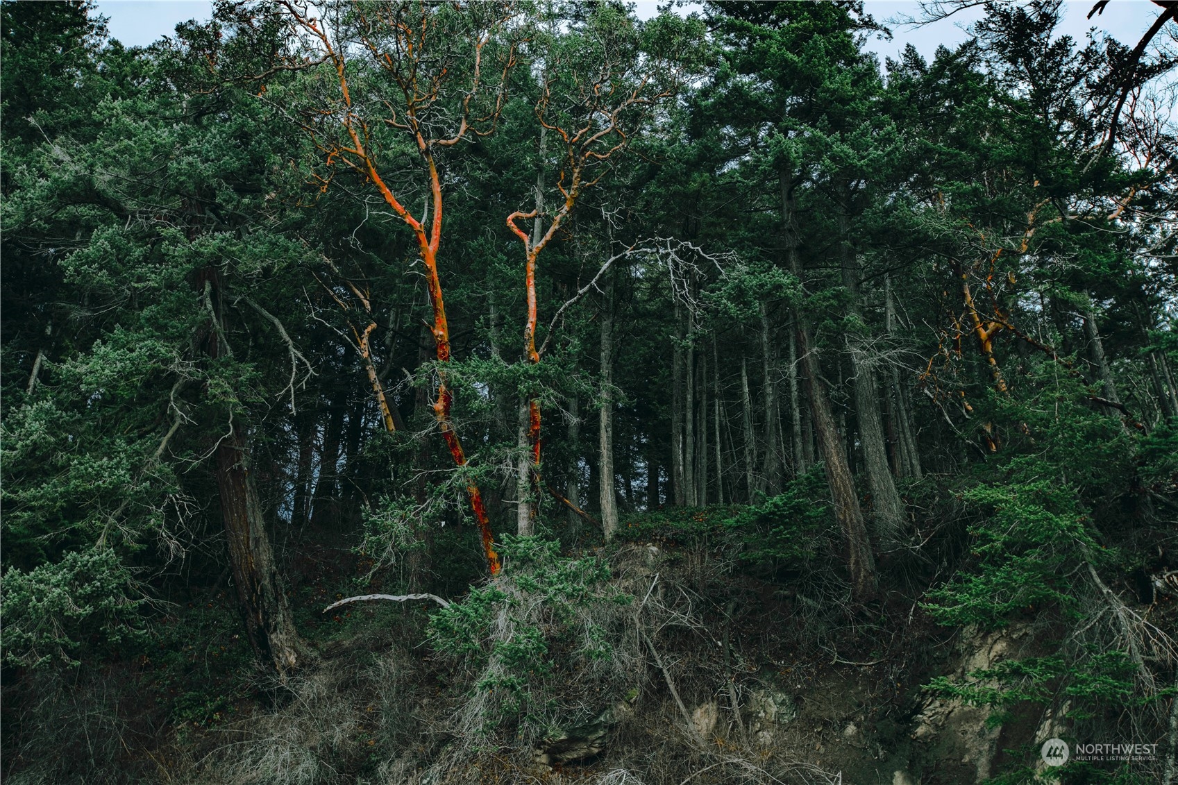 283 Arbel Way Bellingham, WA 98229 - Photo 25 of 39