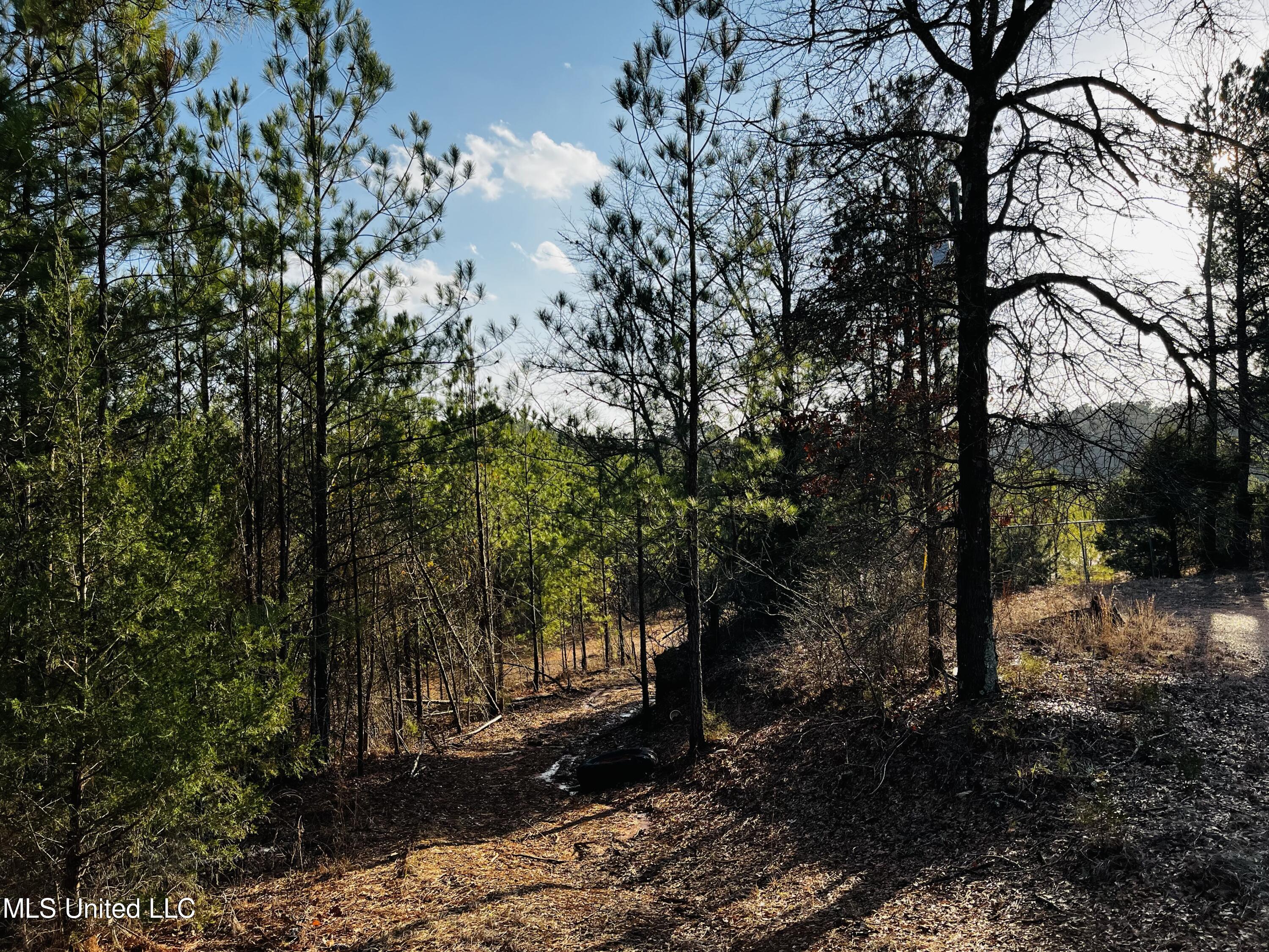 225 Burdine Road Kosciusko, MS 39090 - Photo 5 of 9 IMG_6138